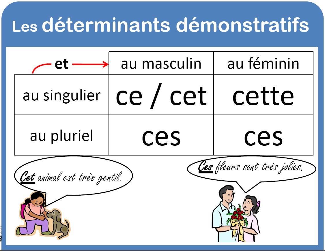 Tice En Fle Les Adjectifs Possessifs Et Les Démonstratifs